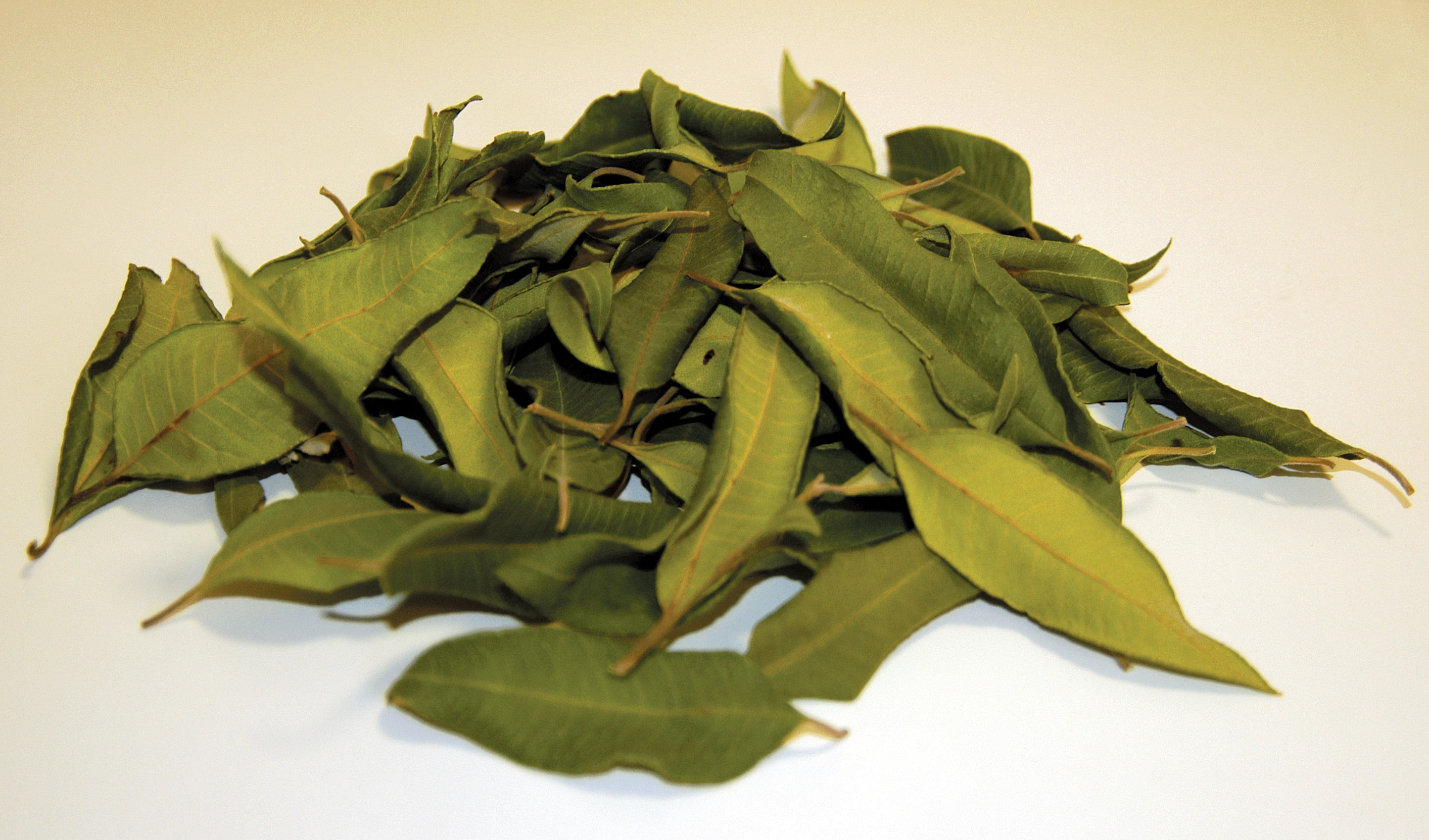 Dried Lemon Leaves