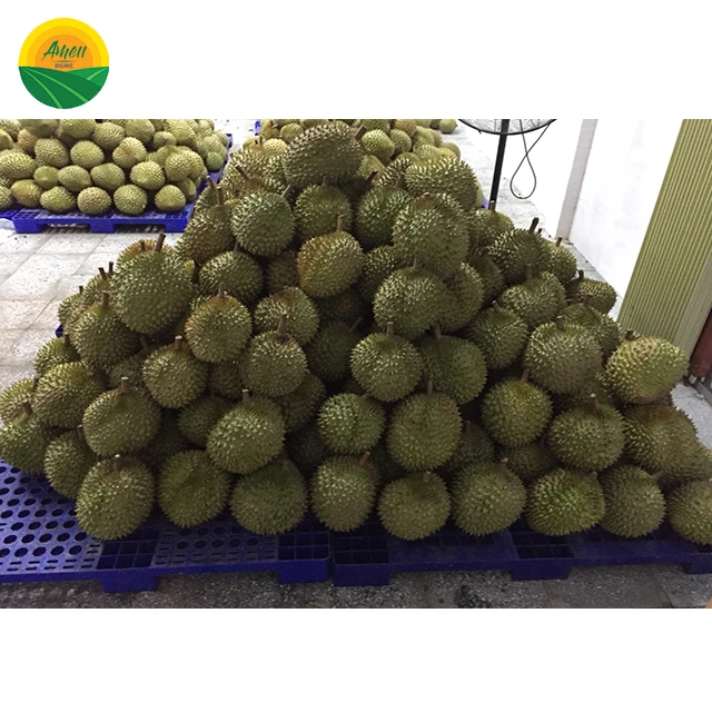 Ameii Durian Ri6/Monthong