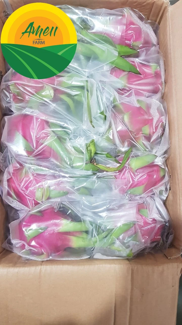 Ameii White Flesh Dragon Fruit