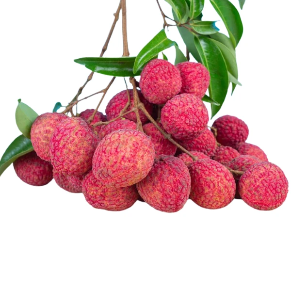 Fresh Lychee