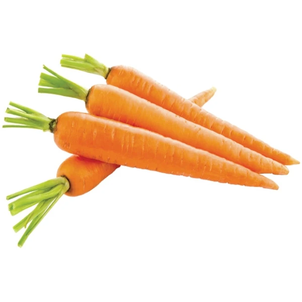 Fresh Carrot