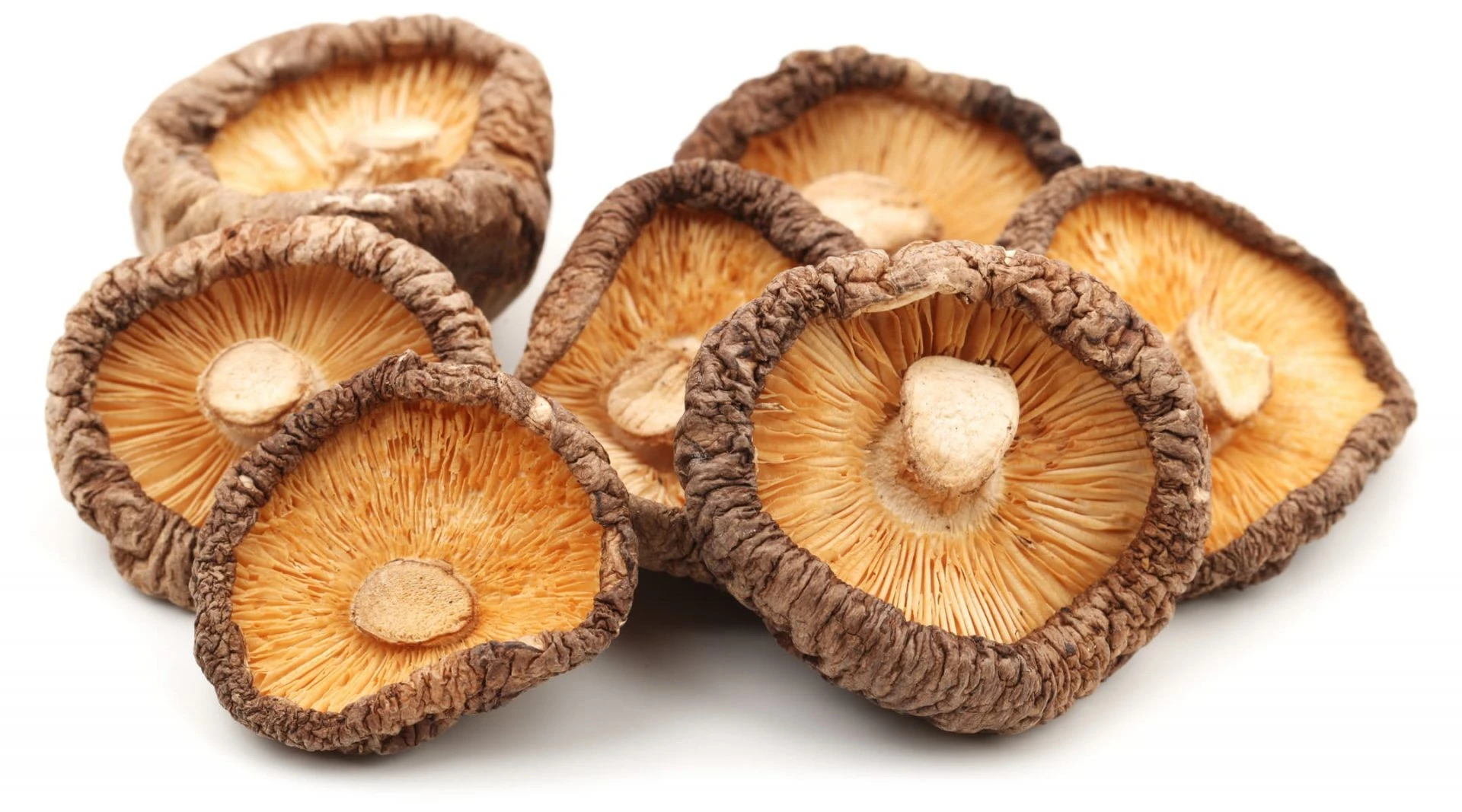 Dried Shiitake Mushrooms