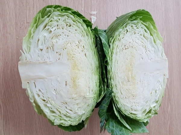 Fresh Cabbage