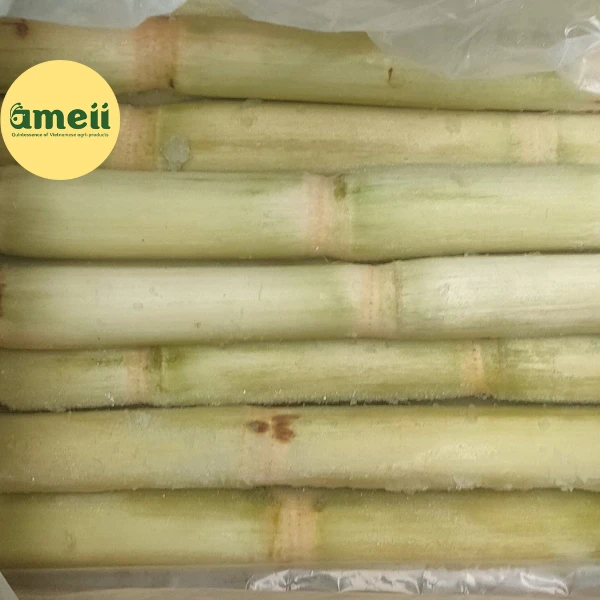 Frozen Sugar Cane