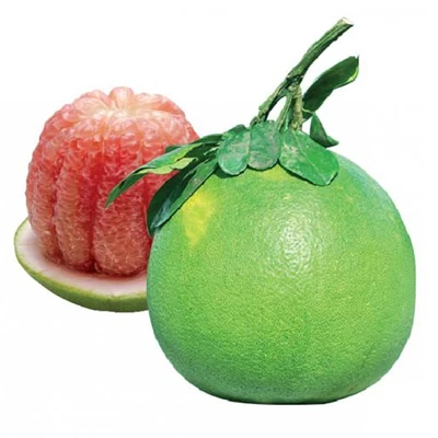 Green Skin Pomelo