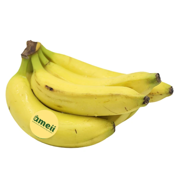 Cavendish Banana