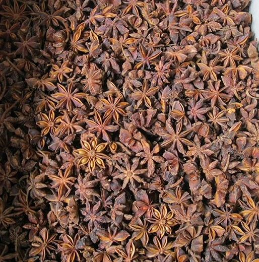 Spring Star Anise