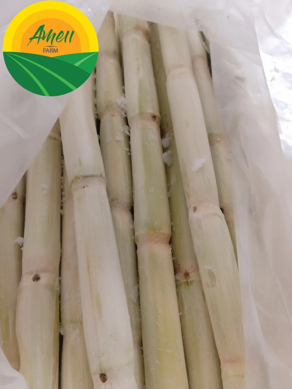 Frozen Sugar Cane