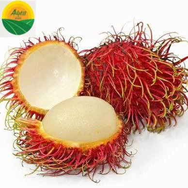 Ameii Rambutan