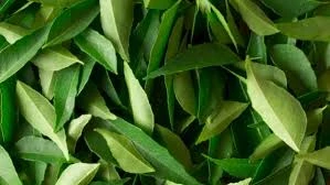 Curry Leaves ( Whole)