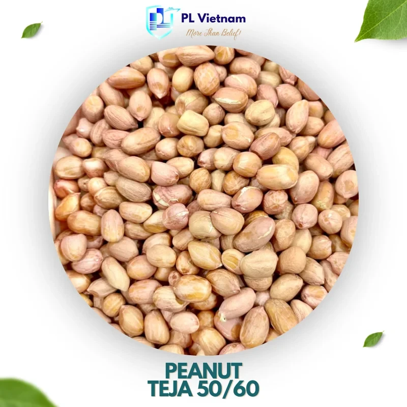 Peanut TEJA 50/60