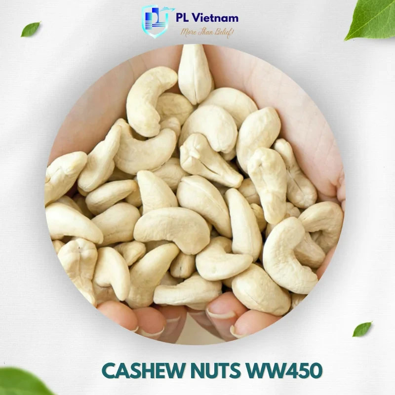 Cashew Nuts W450