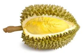 Durian (Whole)