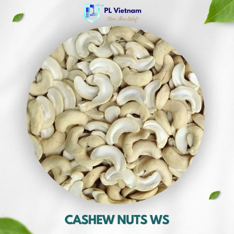 Cashew Nuts WS