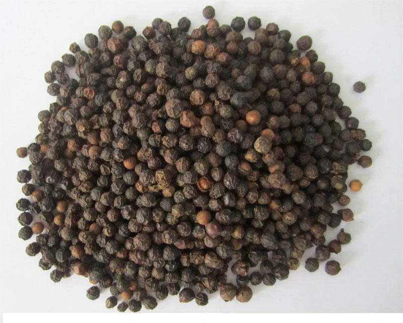 Vietnam Black Pepper 550 GL (FAQ)