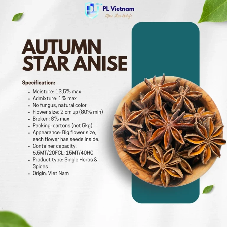 Autumn Star Anise