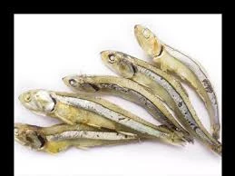 Anchovy (Whole)