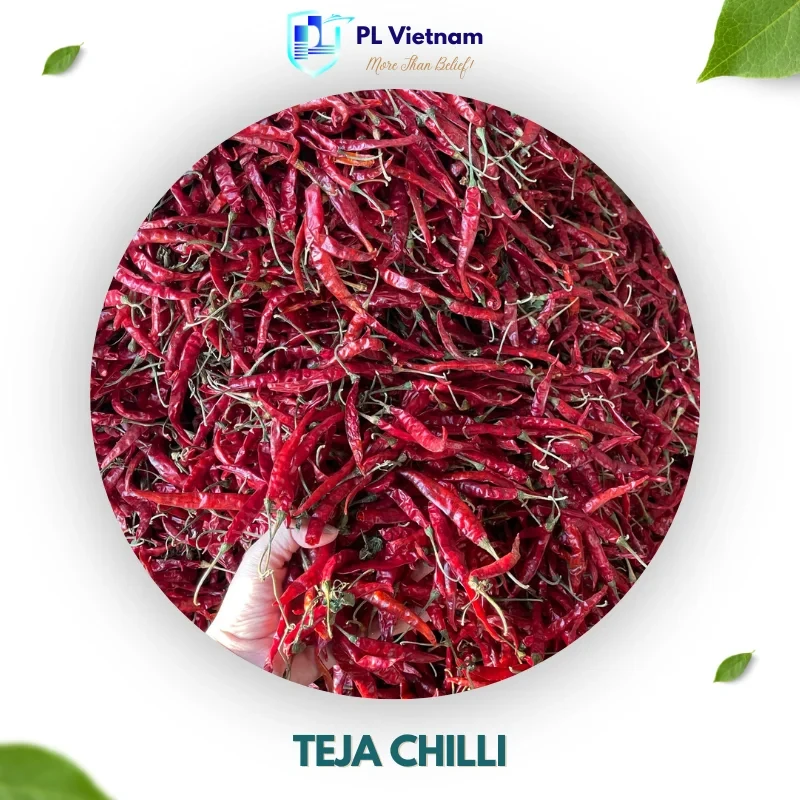 Teja Chilli