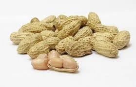 Boiled Peanut (Whole)