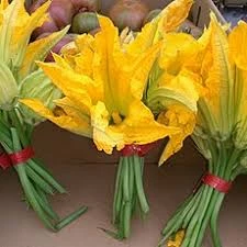 Pumpkin Flowers