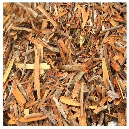 Broken Cassia - Imtex