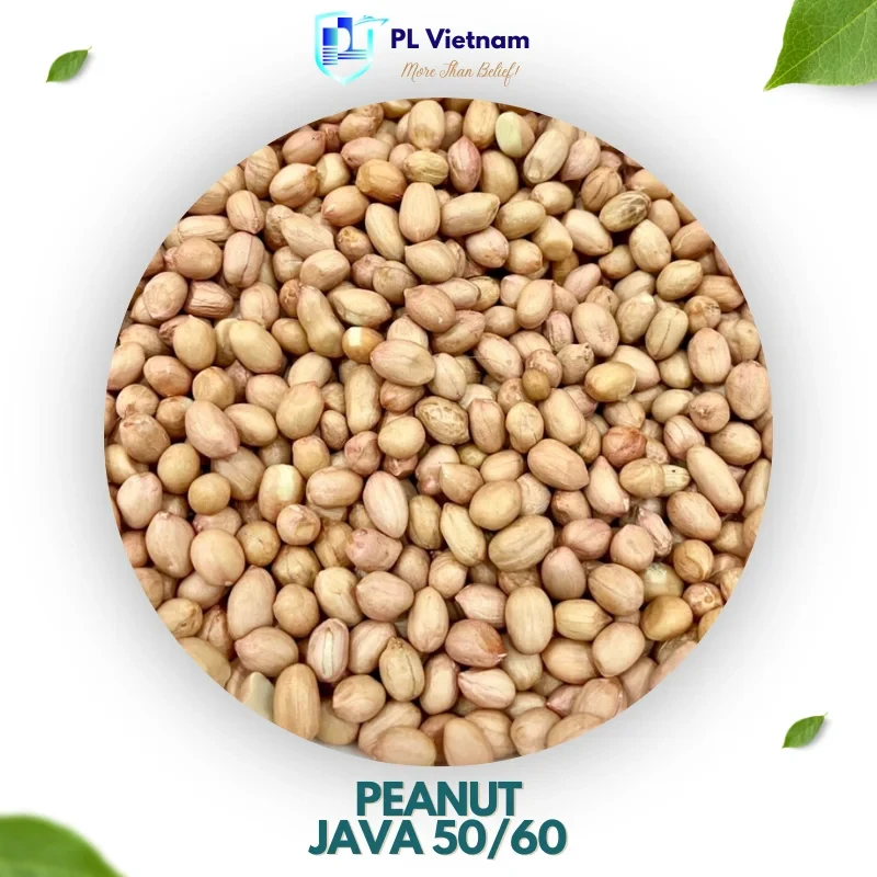 Peanut JAVA 50/60