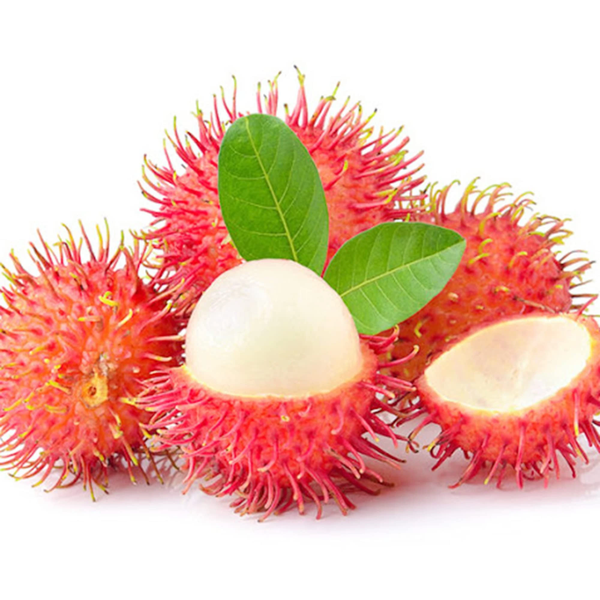 Rambutan