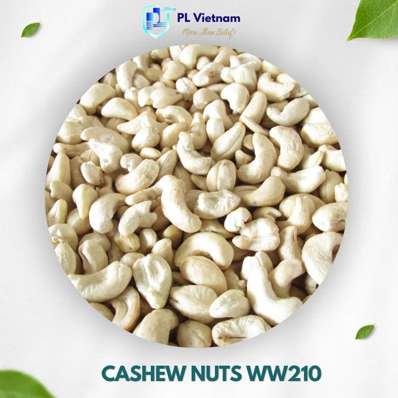 Cashew Nuts W210