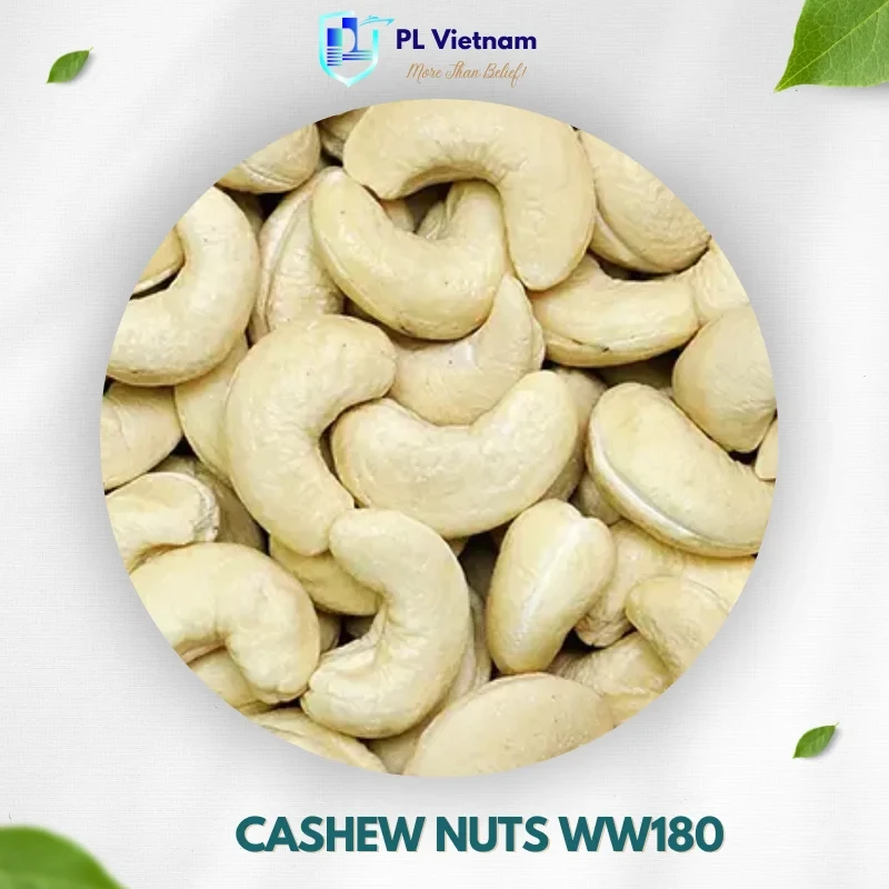 Cashew Nuts W180