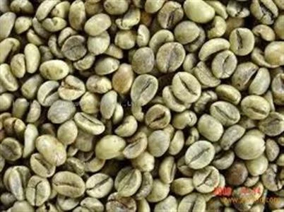 Robusta Green Coffee Beans Grade 1 Screen 16