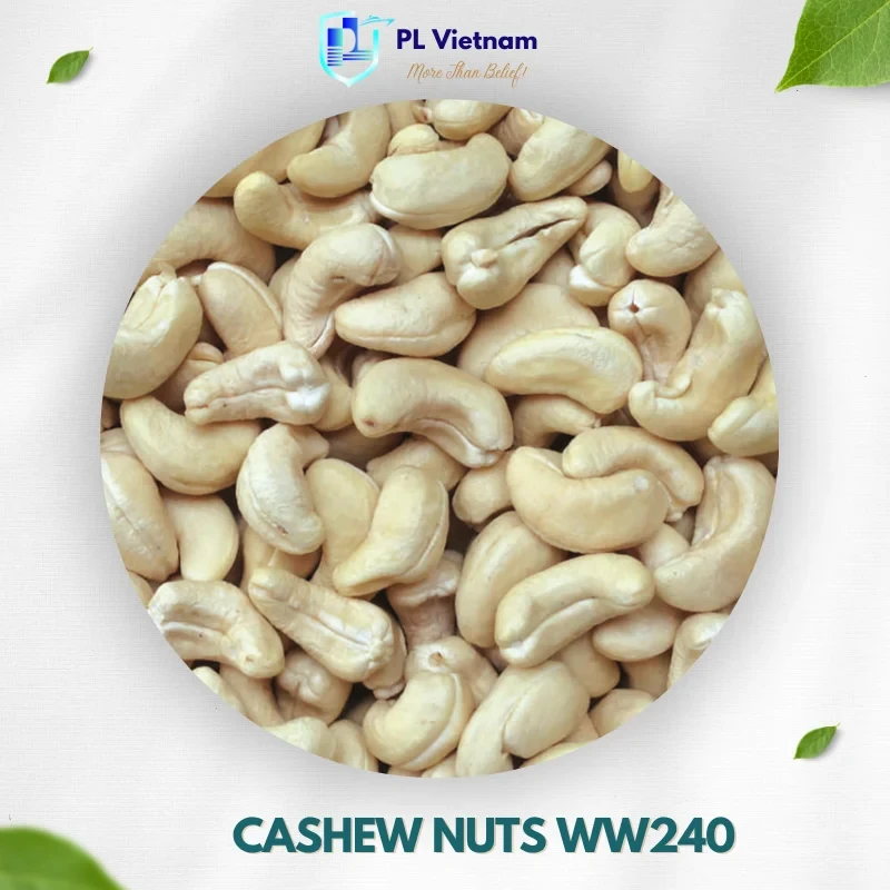 Cashew Nuts W240