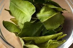 Lime Leaves (Whole)