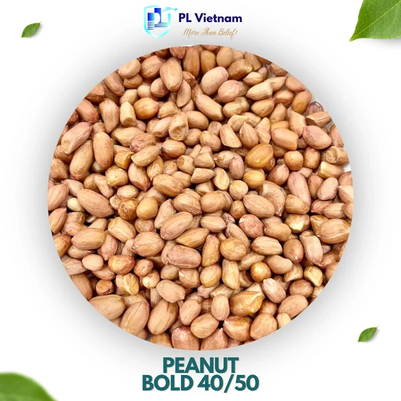 Peanut Bold 40/50