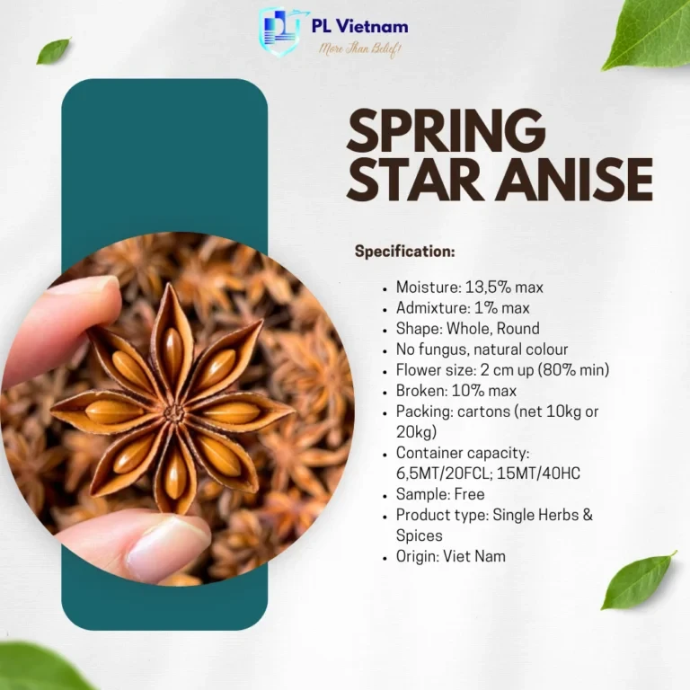 Spring Star Anise