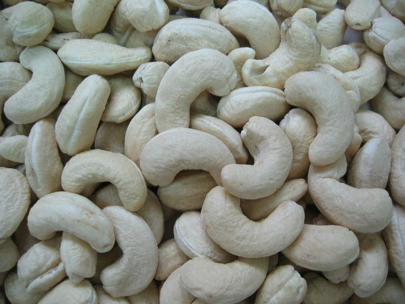 Cashew Nuts WW240