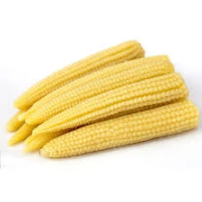 Baby Corn