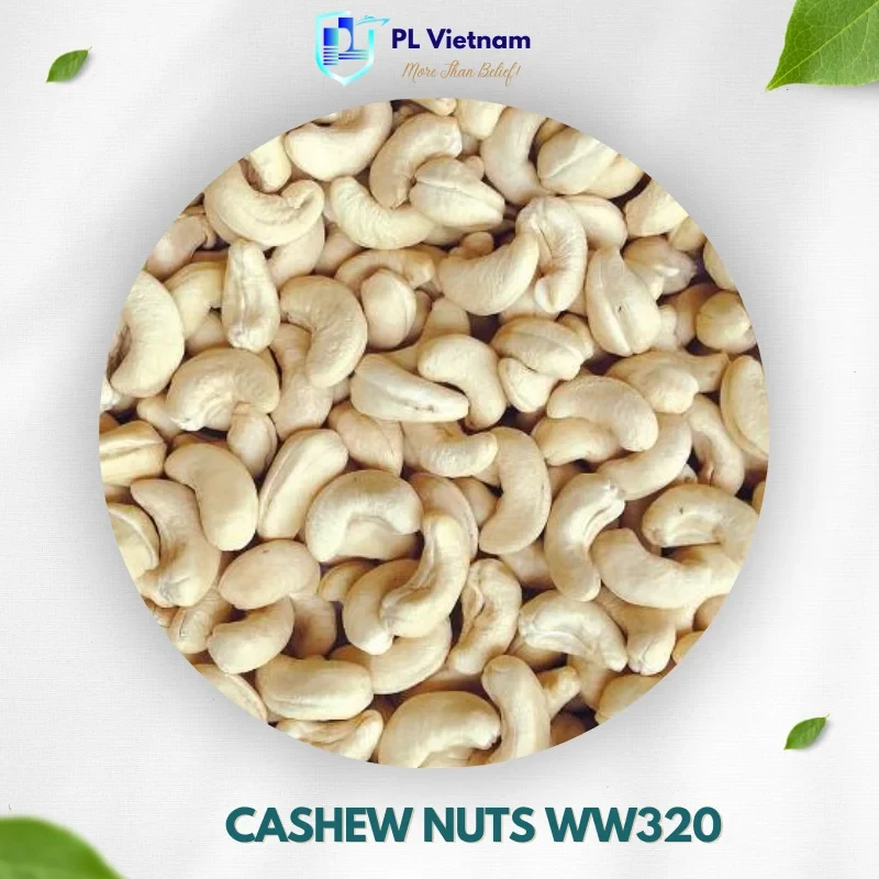 Cashew Nuts W320