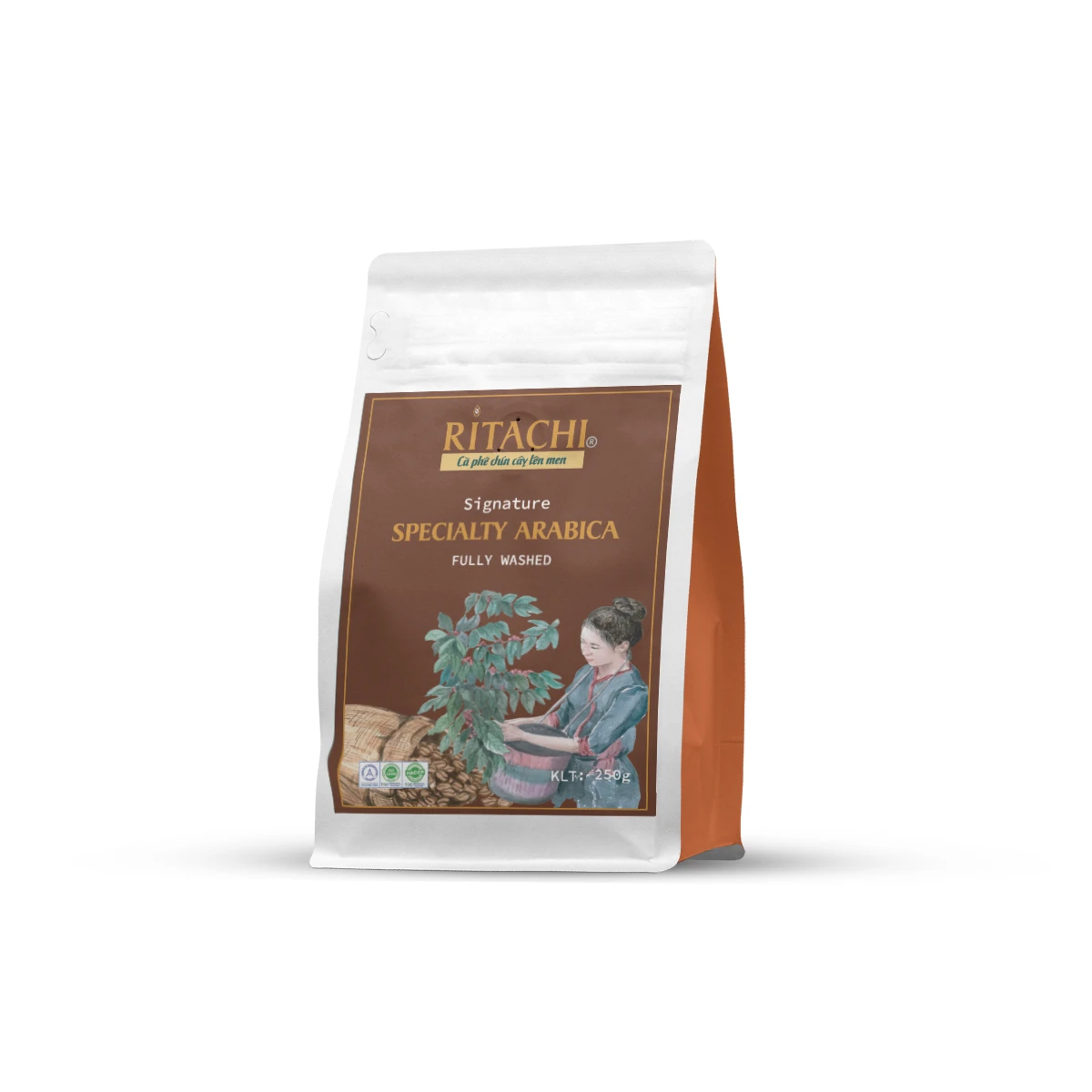 100% Specialty Arabica Cau Dat Dalat Coffee