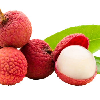 Fresh Lychee Dua Dua Exports