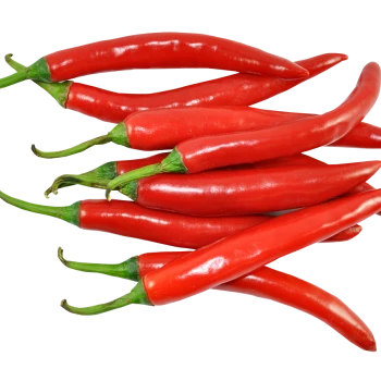 Red Chilli Dua Dua Exports