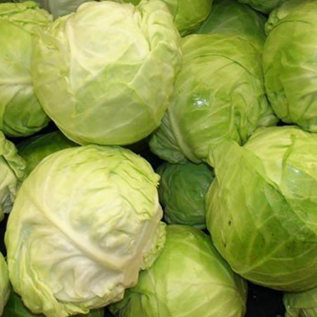 Cabbage