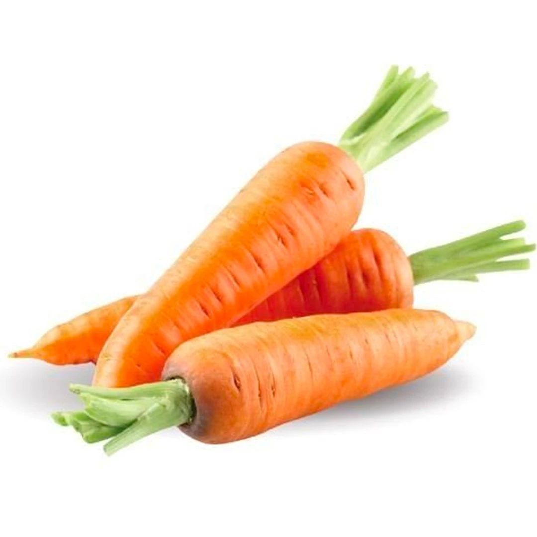 Carrot