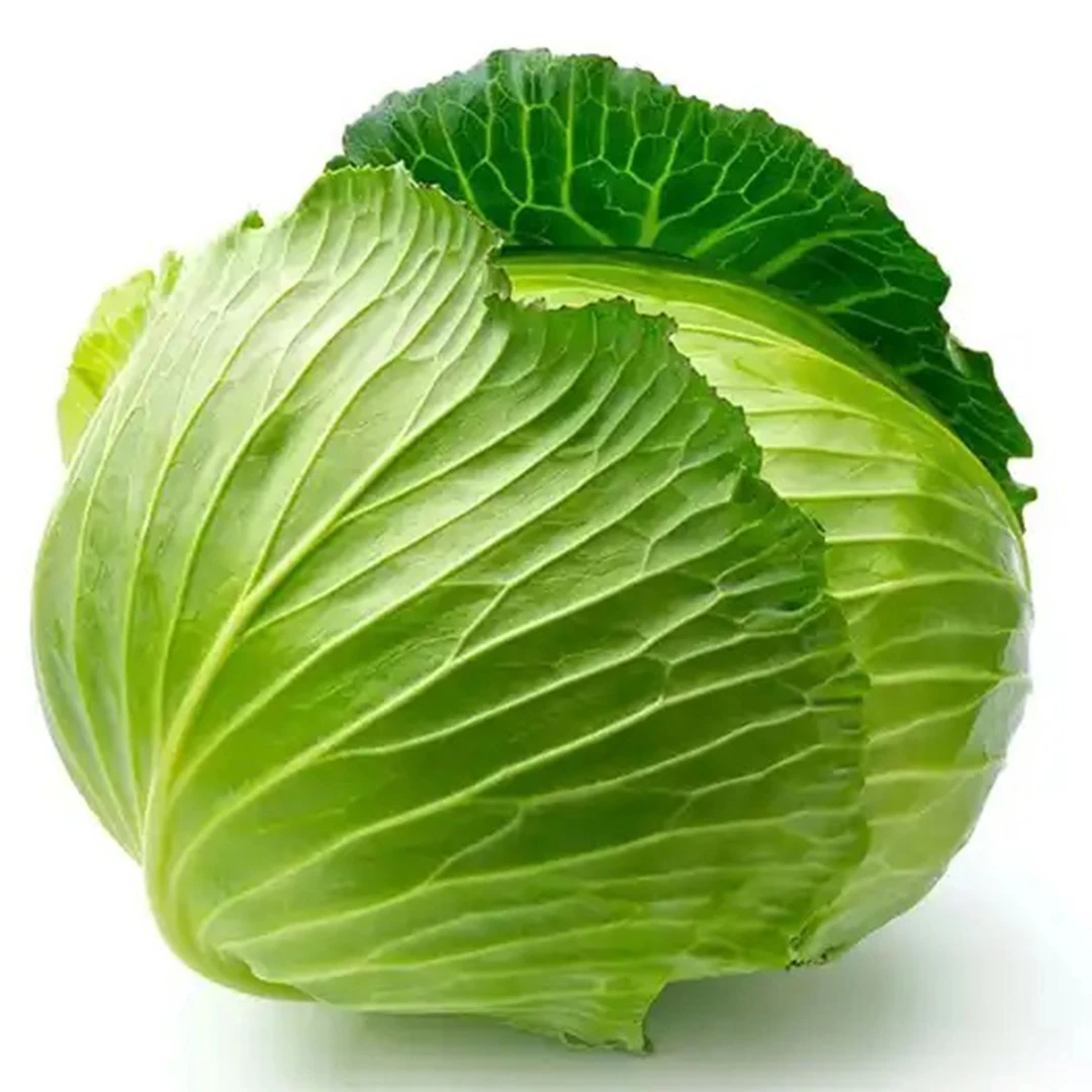 Cabbage