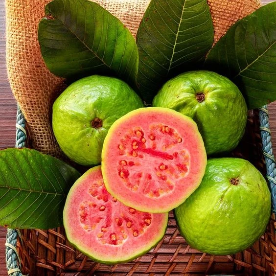 Soft Dried Guava