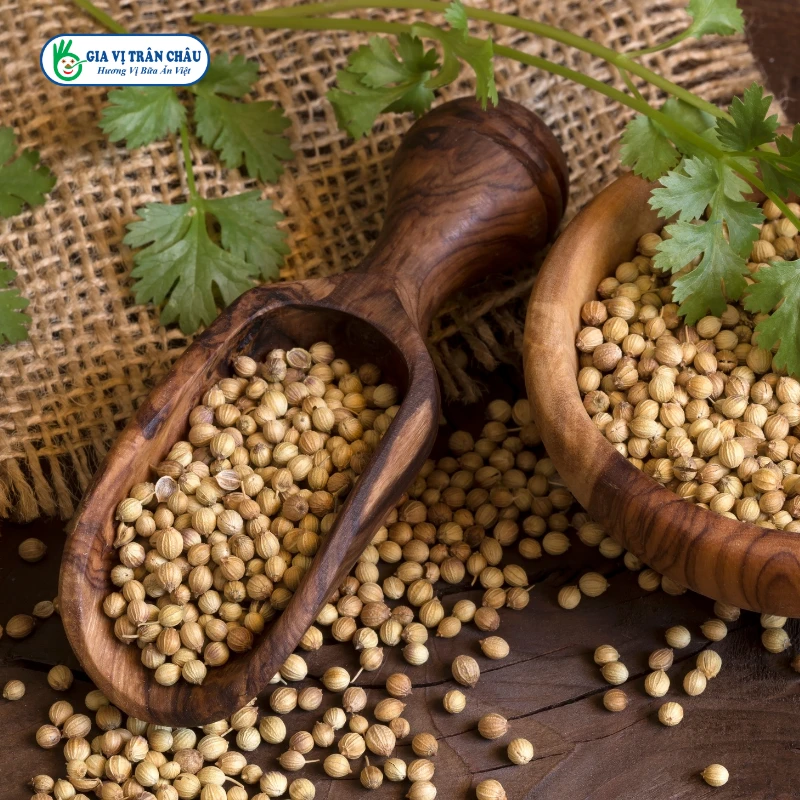 Coriander Seeds