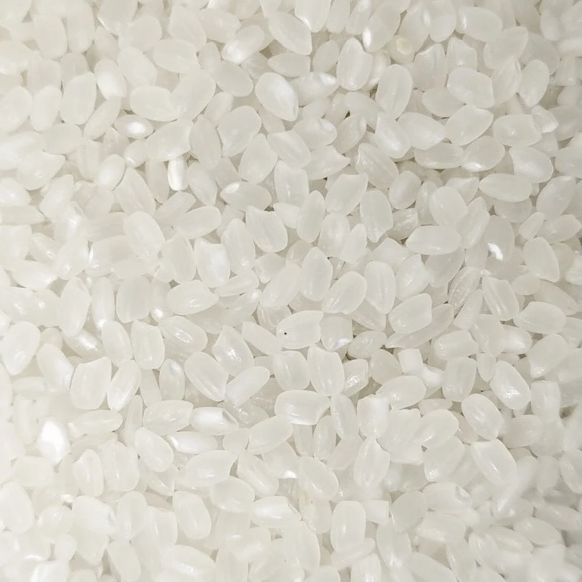 Japonica Rice