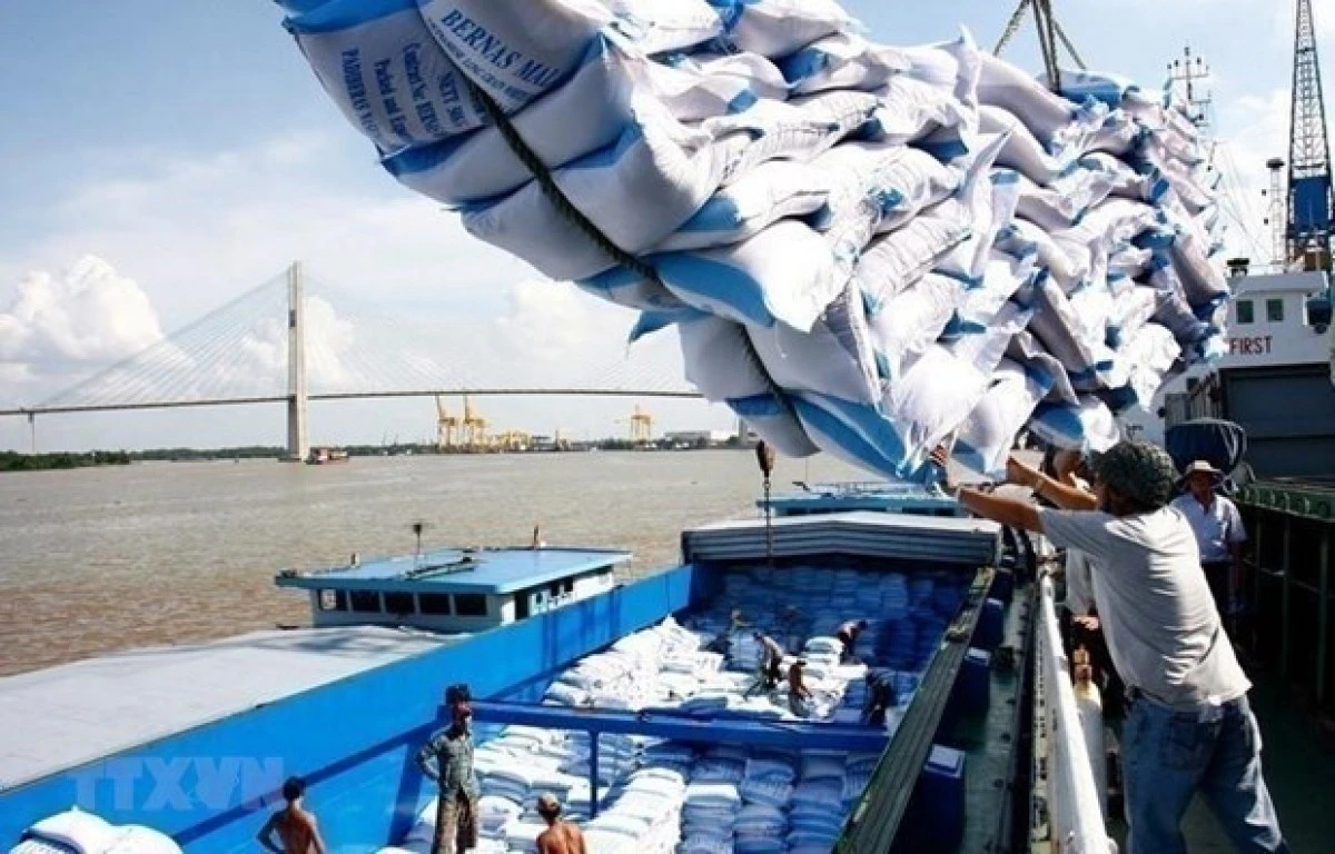 Vietnamese rice continues to dominate Philippine market despite policy shifts