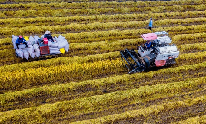 Vietnam to produce enough rice for 8 million tons exports