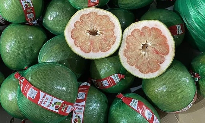 Grapefruit prices plunge after holiday