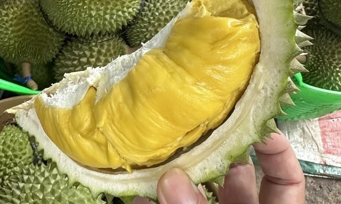 Thailand becomes Vietnam's second largest durian importer